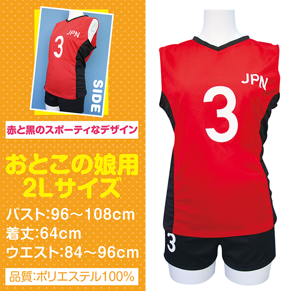 ���q�o���[�{�[�������j�t�H�[���@���Ƃ��̖��p�Q�k�T�C�Y�i�j���p�l�j